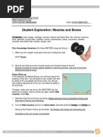 Student Exploration: Muscles and Bones