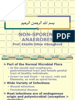 Non-Sporing Anaerobes: Prof. Khalifa Sifaw Ghenghesh