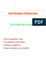 Enterobacteriaceae: Prof. Khalifa Sifaw Ghenghesh