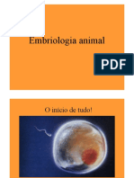 Embriologia Aula