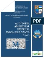 Plan de Auditoria Ambiental Final