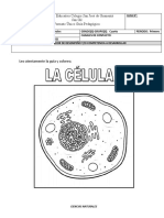 Guía La Célula