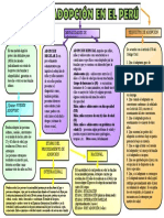 La Adopcion en El Peru