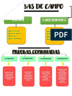 Pruebas Combinadas