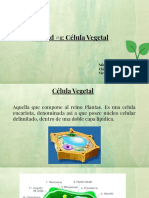  Célula Vegetal