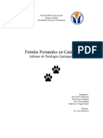 Fistulas Perianales en Perros