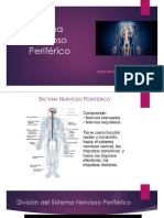 5 - Sistema Nervioso Periférico