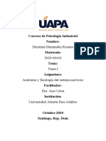 Tarea 1 Anatomia y Fisiologia Del Sistema Nervioso