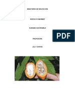 Taller de Cacao en Bocas Del Toro Como Proyecto de Turismo Sostenible