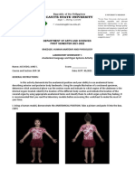 ACEVEDO Laboratory Worksheet 1