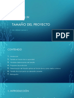 Tamaño Del Proyecto