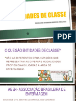 Aula TE 18-19 Legislação Aula 2 - Entidades de Classe