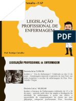 Aula 04 - Legislação de Enfermagem