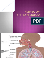 Respiratory System Histology