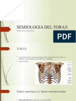 Semiologia Del Torax