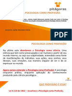 Texto: A Psicologia Como Profissão.: Docente: Geíse Pinheiro Pinto