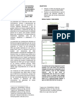 Práctica Aislamiento de Dna Plásmidico