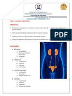 Guia Aparato Urinario