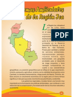 Ambiental 2008 PDF