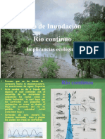 Pulso de Inundación