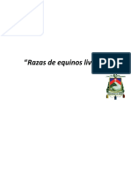 2.RAZAS... en EQUINOS