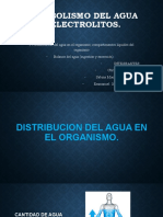 Metabolismo Del Agua y Electrolitos