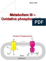 Lecture 3 Oxidative Phosphorylation Metabolism III