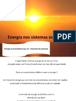 Aula 6 Fluxo de Energia (Cap 22)