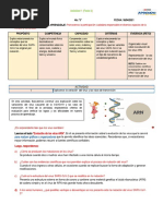 Experiencia 4to PARTE 2 s3