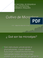 Cultivo de Microalgas