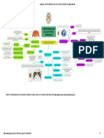 Editando - CONFORMACION DE LAS FOSAS CRANEALES - Mapa Mental