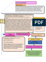 Obstrucción Intestinal: Historia Clinica