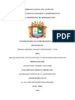 Informe de Practicas Pre-Profesionales HRMNB Puno 2019