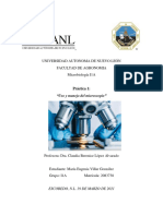 Practica 1 Uso y Manejo Del Microscopio