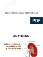 Obstruccion - Urinaria 1