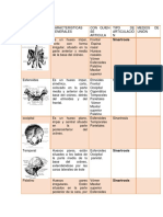 Cuadros Anatomia 1