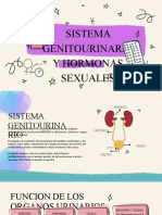 Sistema Genitourinario y Hormonas Sexuales