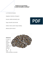 Evidencia de Aprendizaje