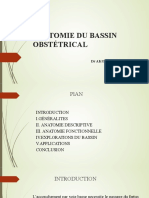 Bassin Obstetrical