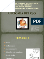 Anatomia Del Ojo. Seminario 2014 2.0