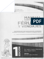 Manual Ilustrado de Ferulas y V - Desconocido