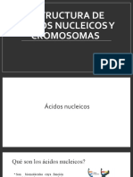 Estructura de Ácidos Nucleicos y Cromosomas