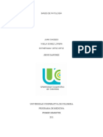 Bases de Patología Trabajo Sobre Cervivitis