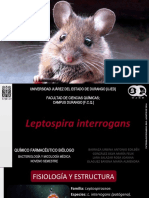 Leptospira Interrogans