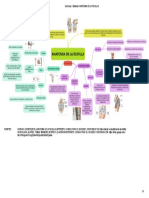 Mapa Mental Anatomia de La Rodilla