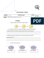 Guia Evaluada de Septimo Basico