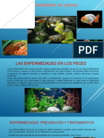 Enfermedades en Peces