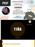 Tiñas