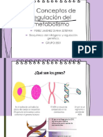 3.1 Conceptos de Regulacion Del Metabolismo