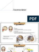 Viscerocráneo